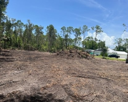 LAND CLEARING